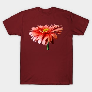 Pink Gerbera Daisy Side View T-Shirt